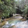 001 Lacy Creek flowing along the southwest boundary near the entrance