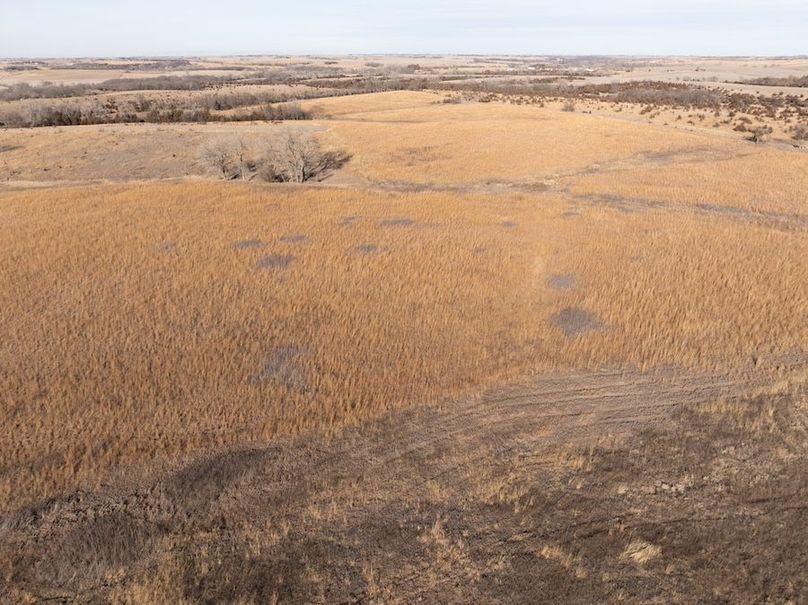 DJI_20260112145745_0584_D