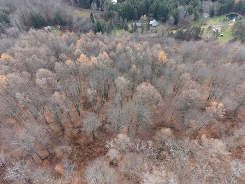 DJI_20251122115319_0071_D