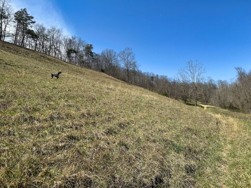 031 field assistant, Ely pointing us in the right direction