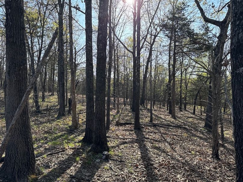 DJI_20260409_090603_941