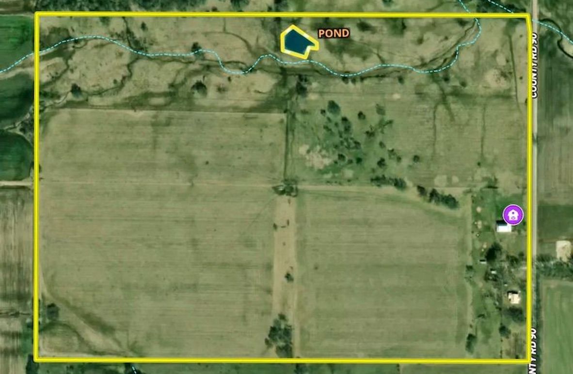 Screenshot 2026-02-24 at 2.59.35 PM