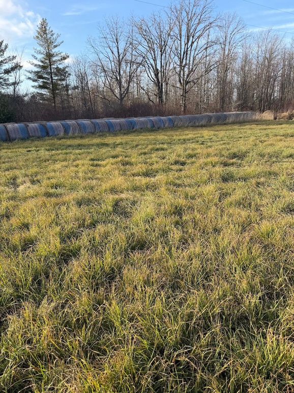 DEAD4C87-287D-45E9-96AA-12B0FEC49DEE