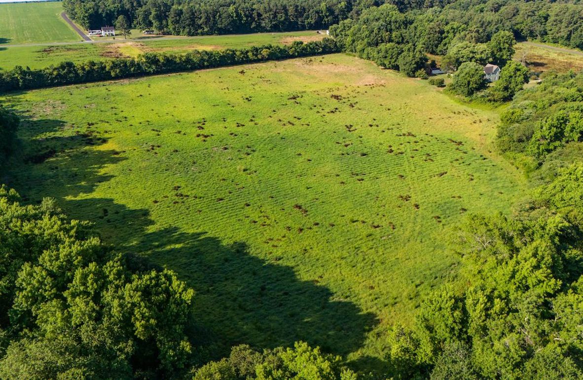 DJI_20240709083538_0065_D