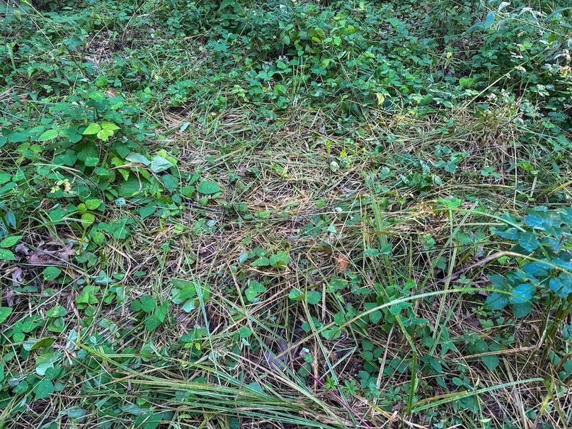 Pantzke Ground Photos-30