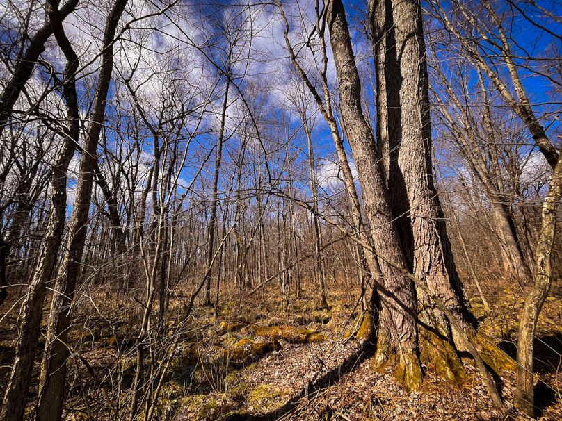 Oswego_165.52_Lashomb_Photos_20