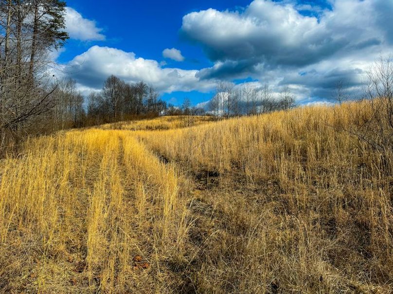 Doddridge, WV 79.08 AC Adams-42