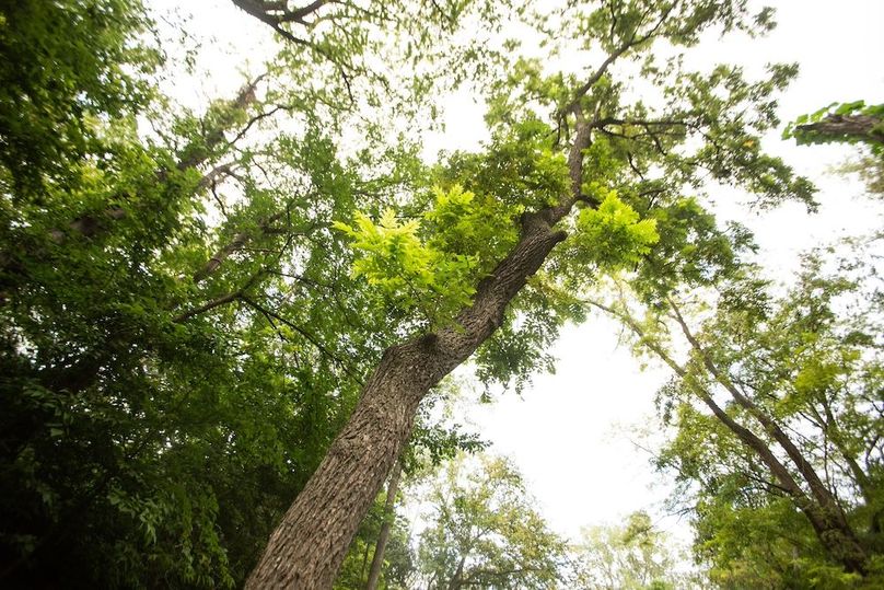 FREMONT CO IA 159.05_69