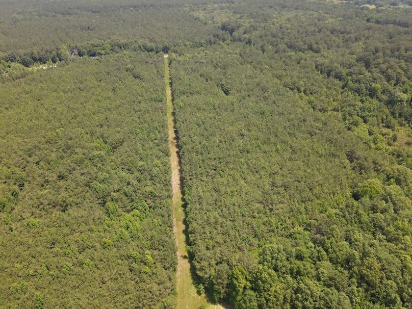 Copy of DJI_0884