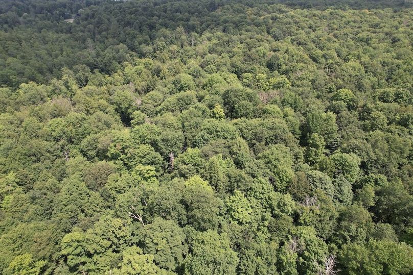 Oswego_133.72_Middleton_Photos_16