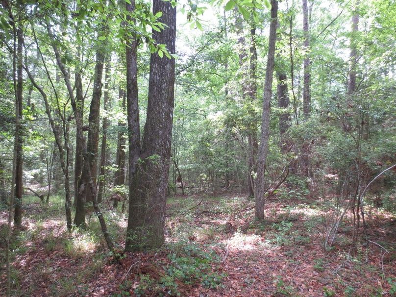 2E2BAA68-530A-4BF2-A092-5AFC6DAF4D20_1_105_c