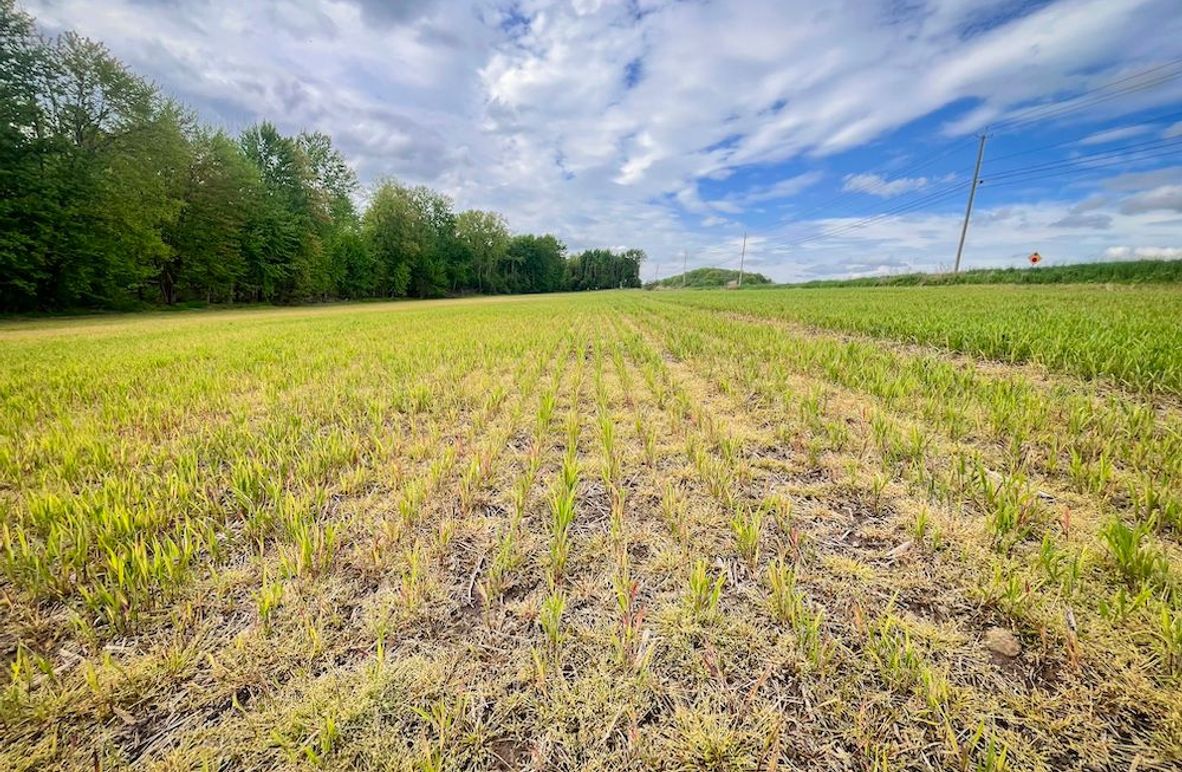 Wayne_85.97_King_Photos_5