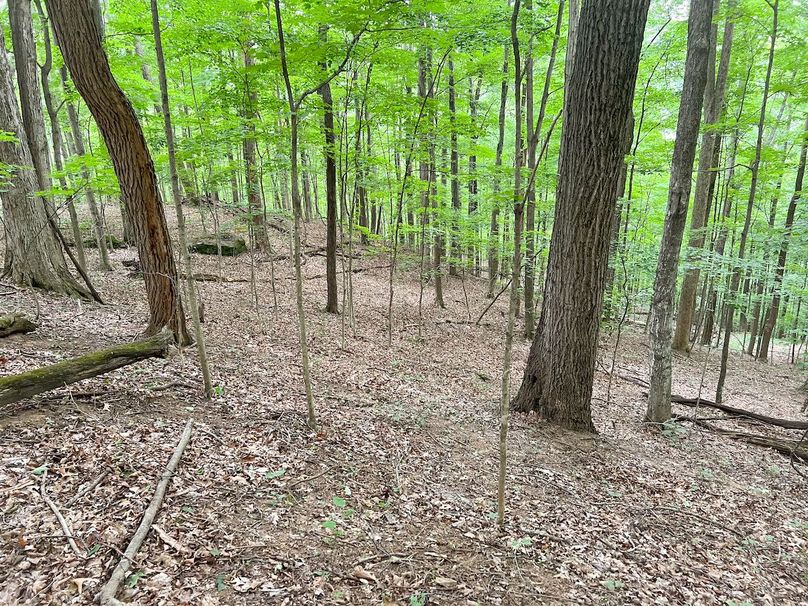 Braxton, WV 46 AC Cooper-70