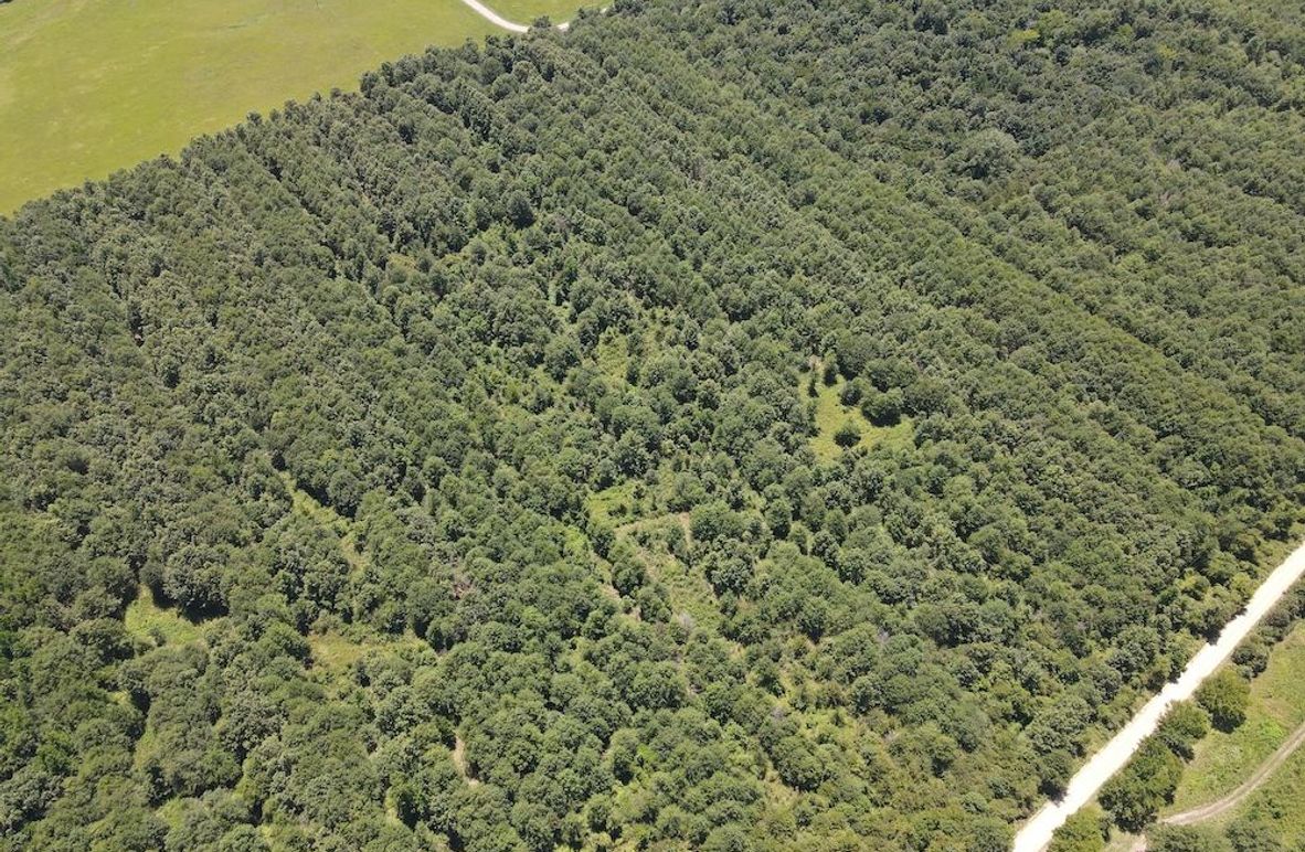 dji_fly_20240730_133834_229_1722364765780_photo