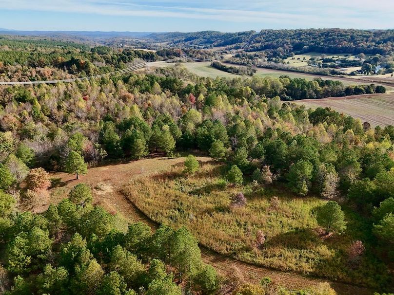 DJI_20251024100908_0009_D