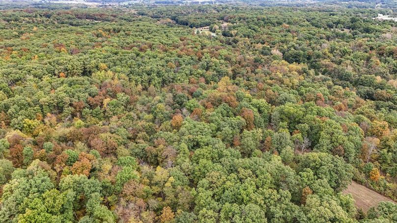 DJI_20251016095120_0093_D