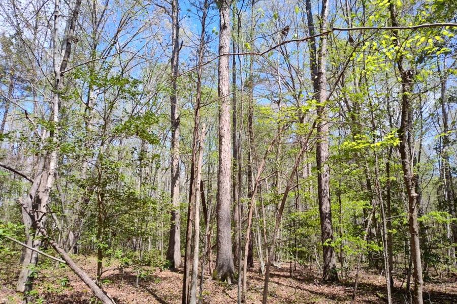 IMG_20250412_140408526_HDR