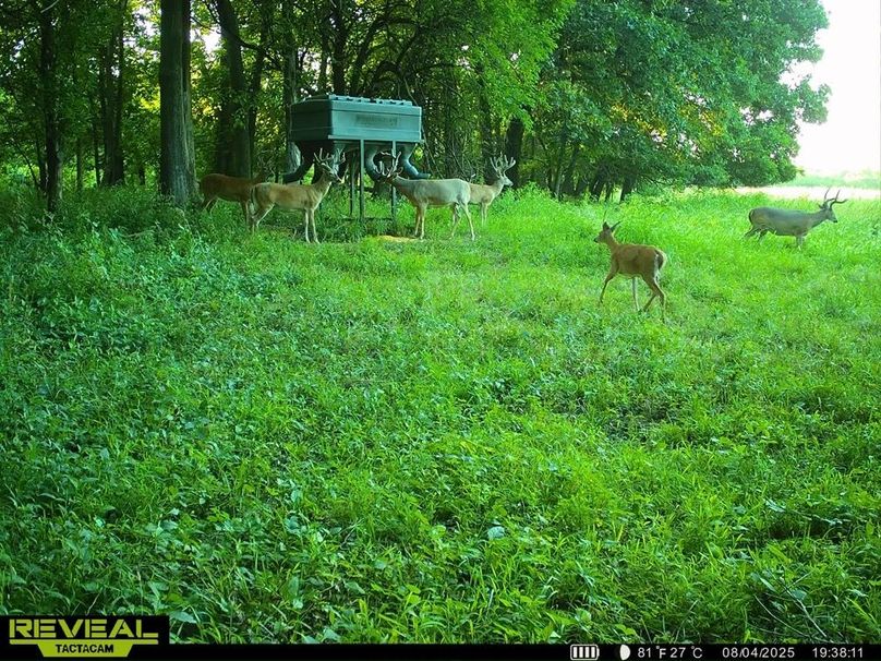 860322065946383-100-3-08052025032508-HD-SYEW0815