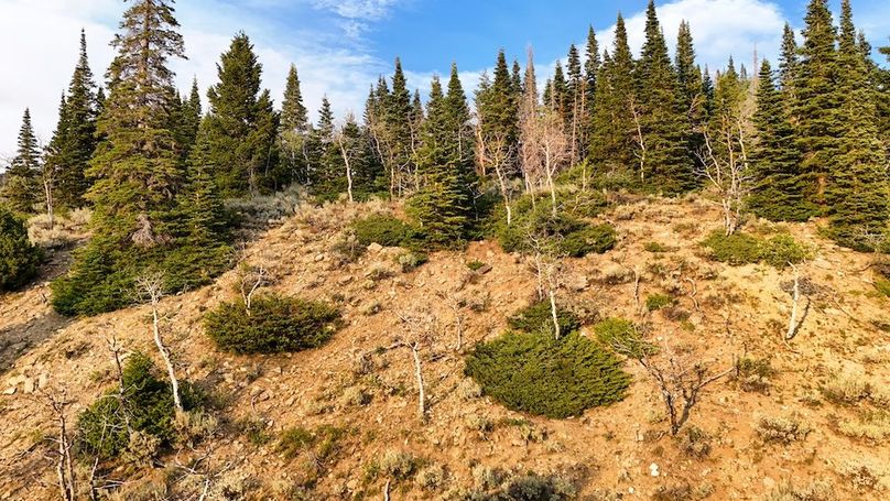 DJI_20250726191331_0318_D