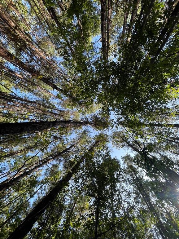 2AF576BE-5877-4EF2-9860-3C588E0870FA_1_105_c