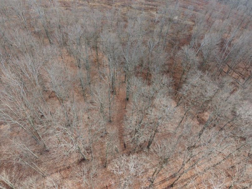 DJI_20251122115227_0066_D