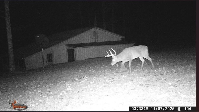 Screenshot 2025-11-13 154818