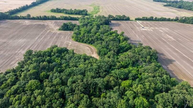 DJI_20250610045348_0007_D