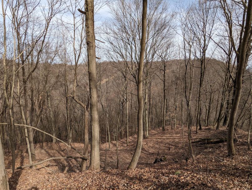 PXL_20230301_163219447