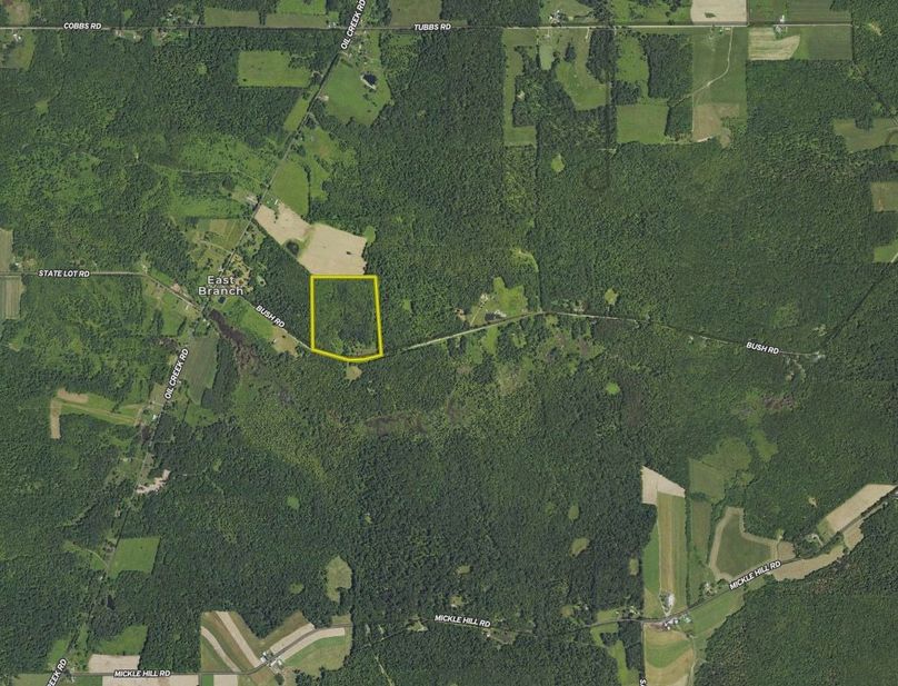 Screen Shot 2023-10-17 at 3.26.02 PM