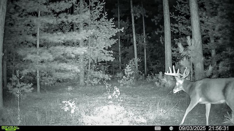 Adams 263.17, Hale -84