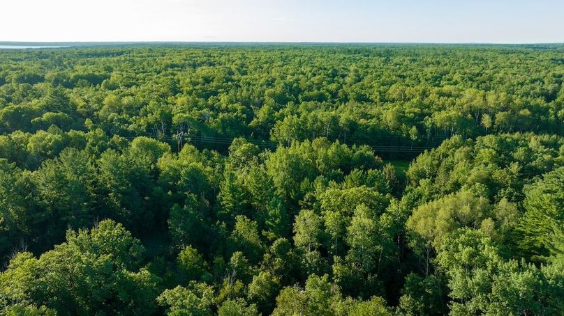 Cass MN 1095 Featured ProPhoto-84