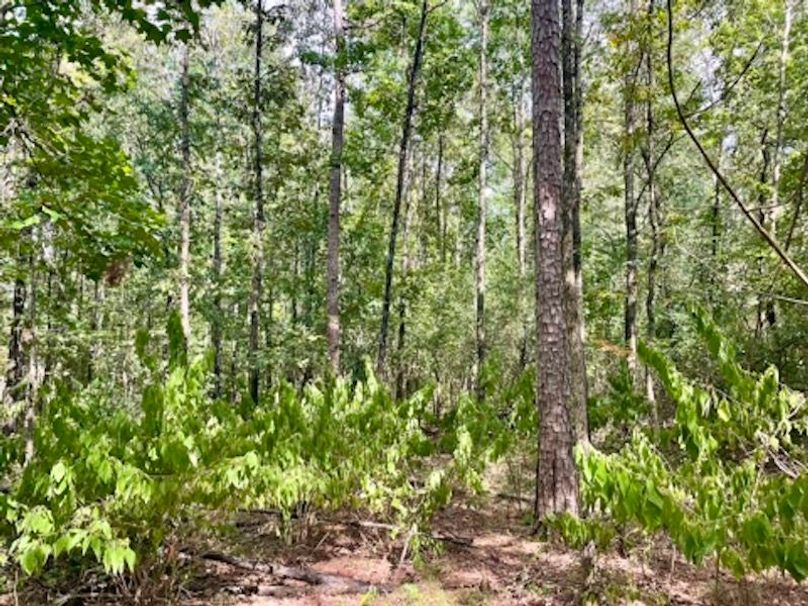 E229845B-C851-4DFC-A850-F52DB4C96B79_4_5005_c