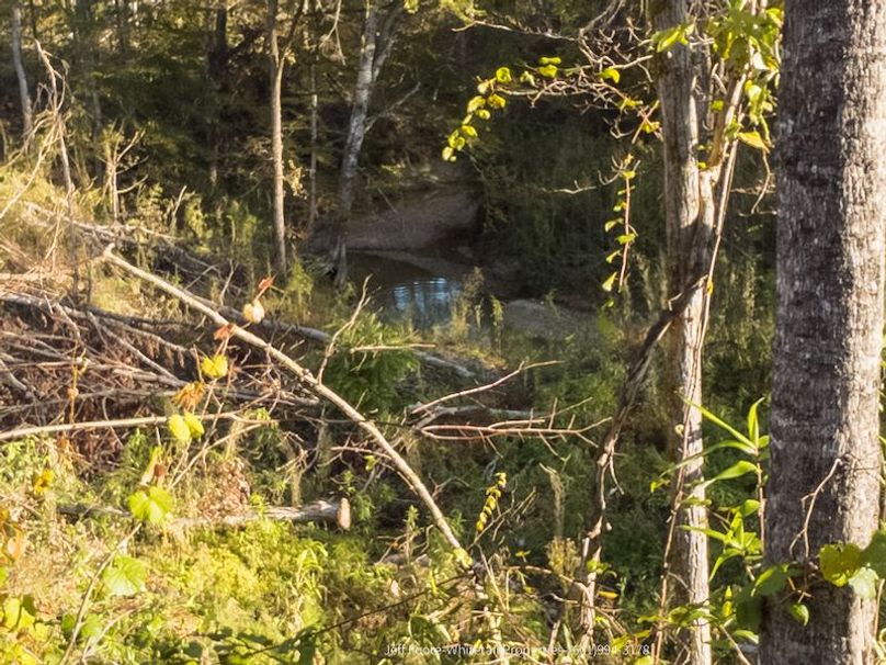 Claiborne Co-189-Geronimo-27