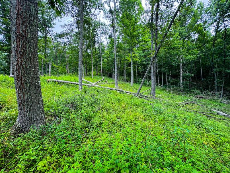 Tyler, WV 46 Lemasters -22