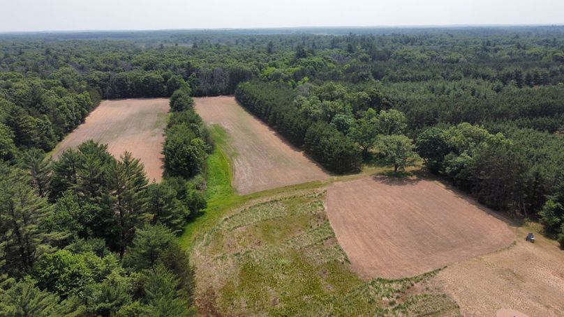 dji_fly_20230610_115440_596_1686416522254_photo_optimized