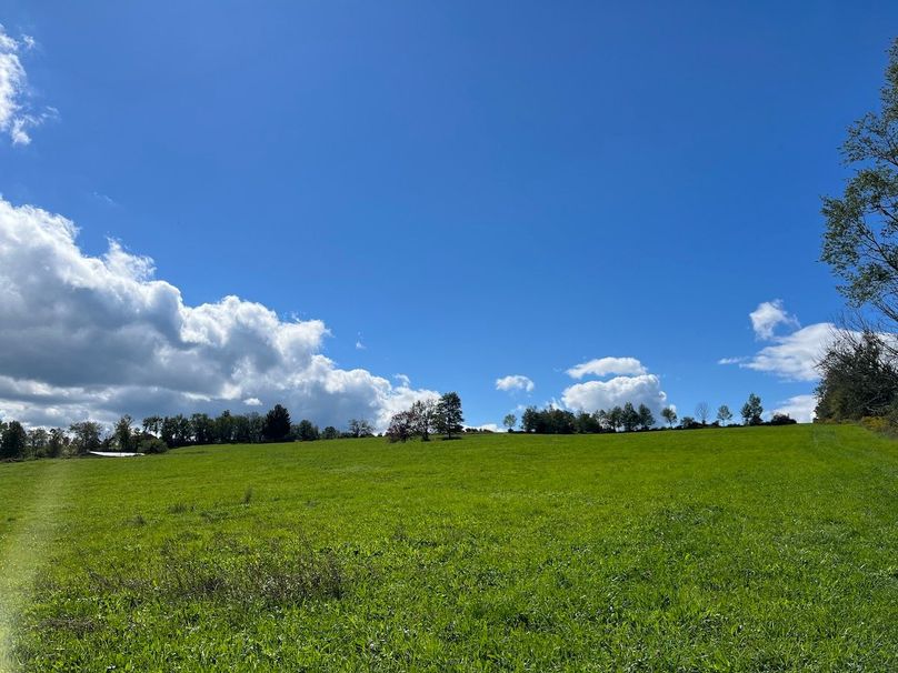 Schuyler_42.08_Austin Photo 39