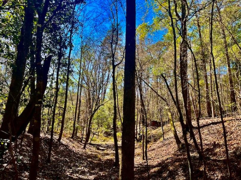 D4D8DDE7-2045-4282-B896-7BEC2B32A671_1_201_a