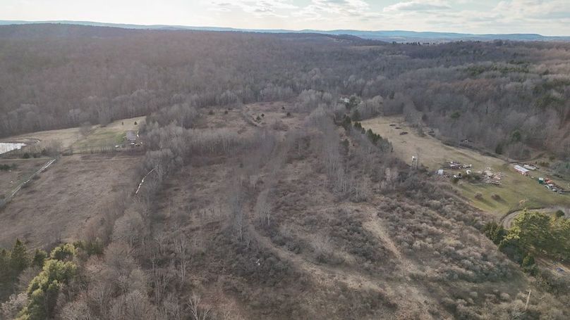 Chemung_59.65_Kocsis_photos_16