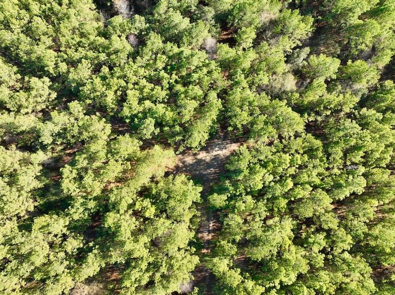 dji_fly_20251222_141844_91_1766431468860_photo