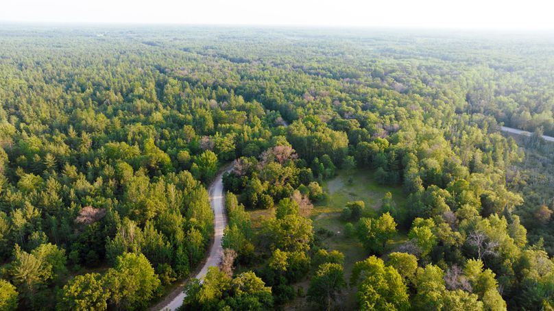 Ogemaw MI 475 Featured Pro Photo-0107