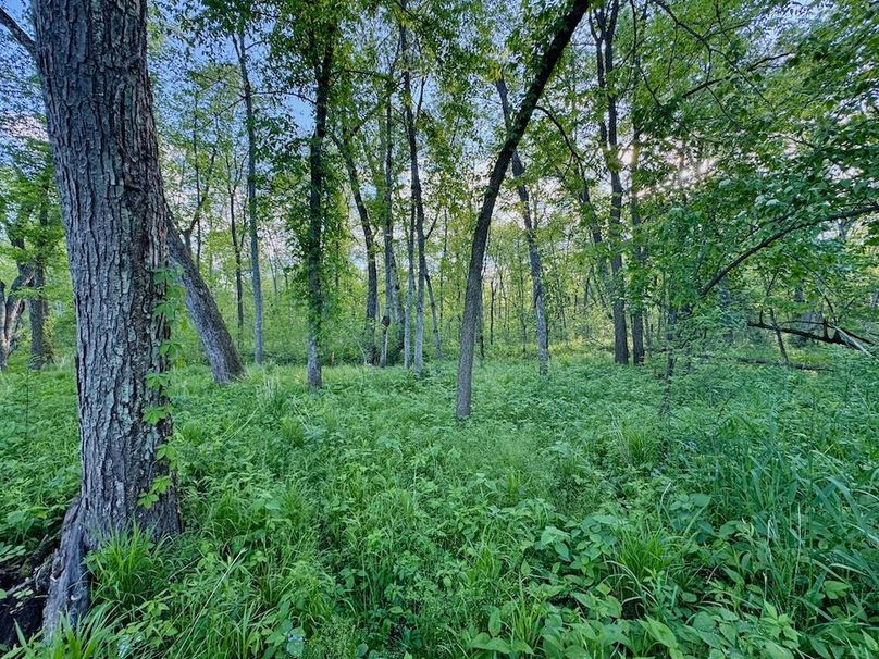 La Crosse 56.17 - 20