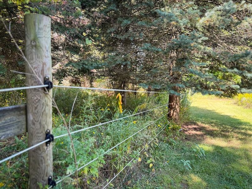 Ontario_9.680_Hardy_Photos_40