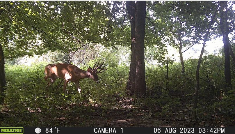 Screenshot 2023-08-16 at 12.20.55 PM