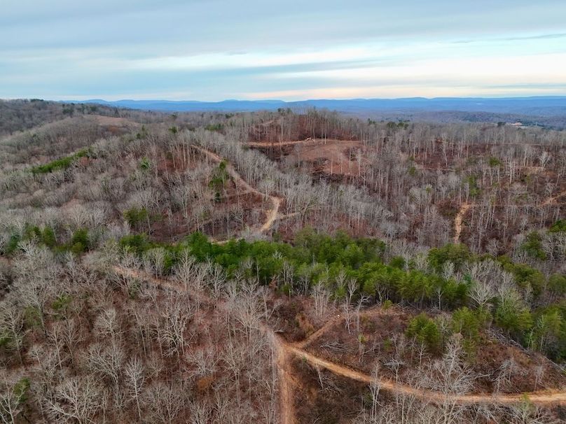 Roane Co TN 396 20251127_07