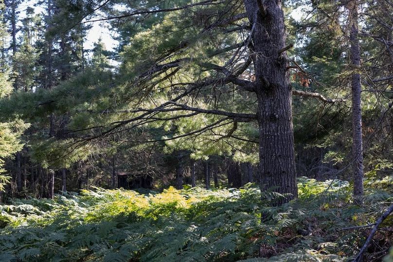 Mackinac 320 Copenhaver-86