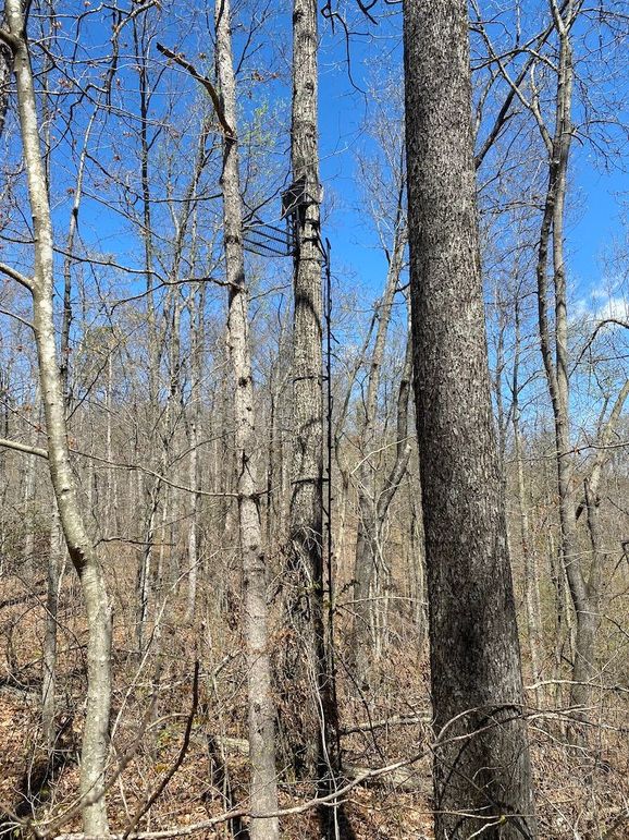 Carter Gordon 70 +_- 013