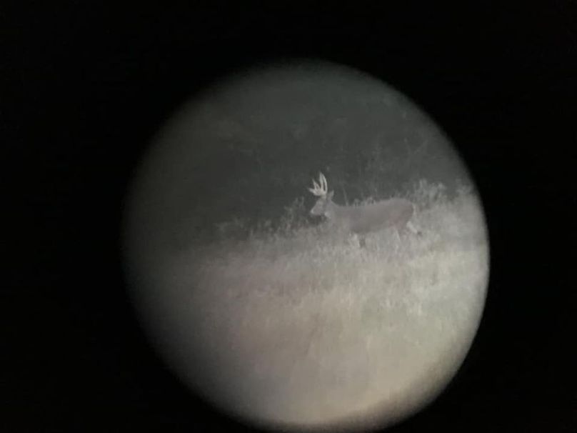 46511382_10156232374849830_3702725240418205696_n