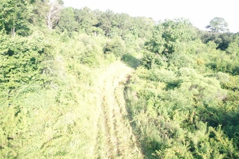 DJI_0638