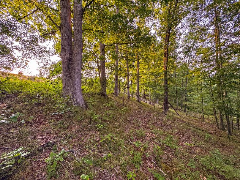 Ritchie, WV 127 AC Robinson-43