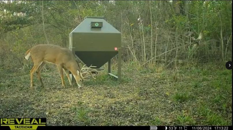 Screenshot_24-1-2026_9350_drive.google.com